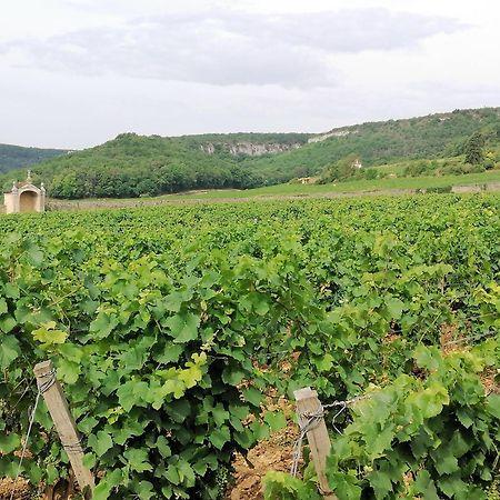 Gite Hautes Cotes De Nuits Curtil-Vergy Εξωτερικό φωτογραφία